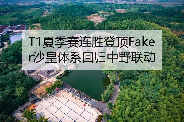 T1夏季赛连胜登顶Faker沙皇体系回归中野联动